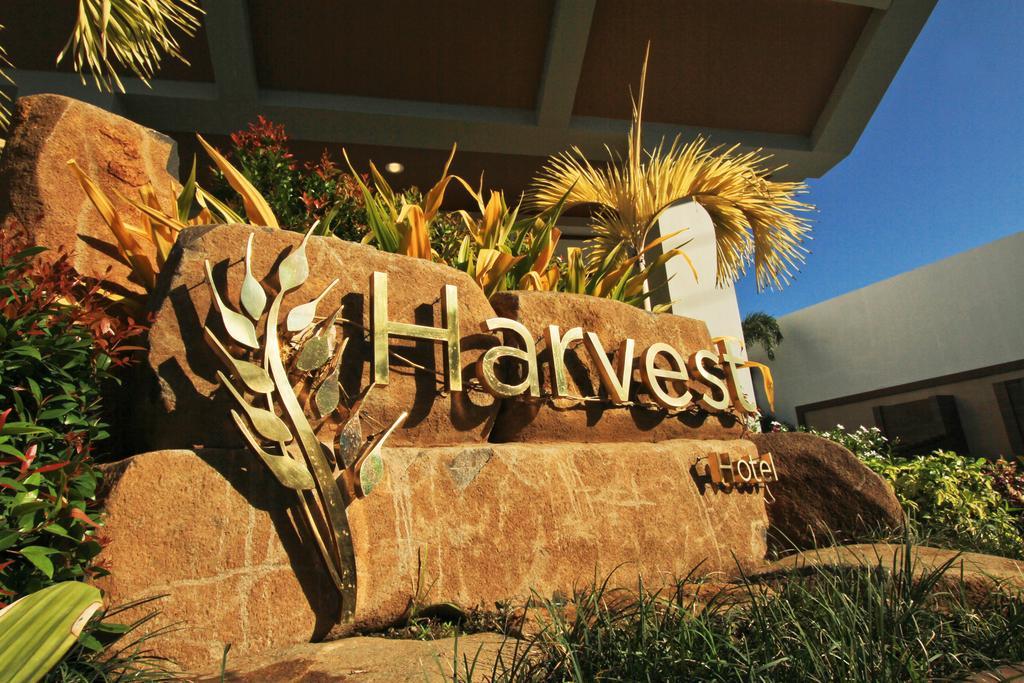 The Harvest Hotel Managed By Hii Cabanatuan City Bagian luar foto