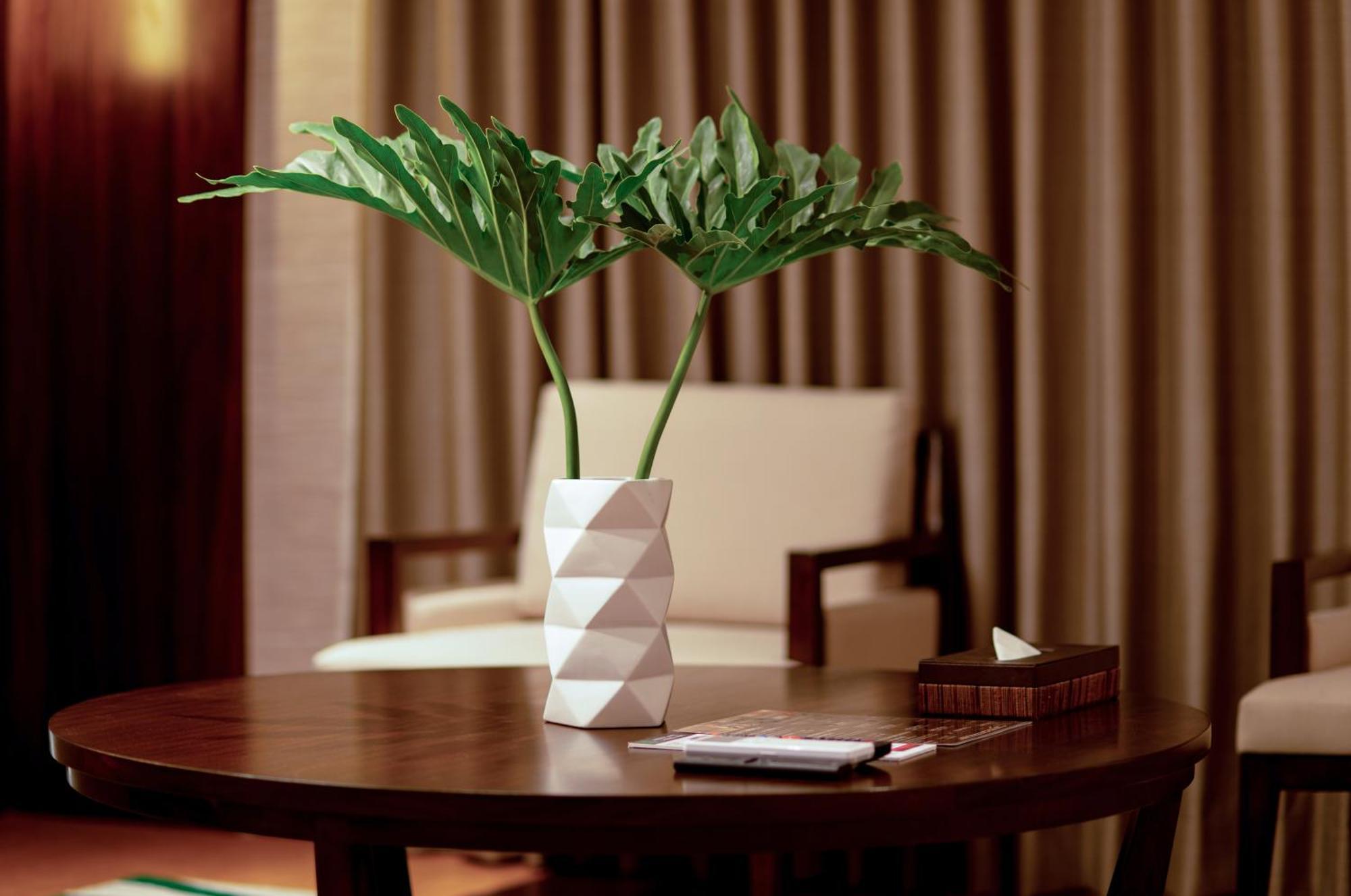 The Harvest Hotel Managed By Hii Cabanatuan City Bagian luar foto